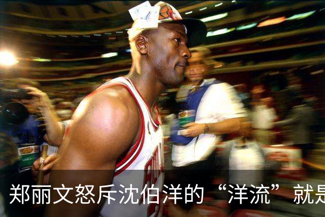 郑丽文怒斥沈伯洋的“洋流”就是毒流！台北选战剩50天，结局难料